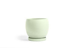 10" Bollé Pot with Water Saucer