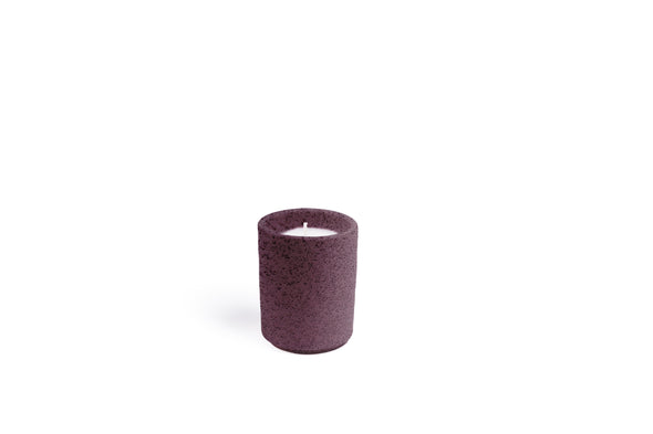 Earth & Ember: Iced Winterberries 2oz Votive Candle