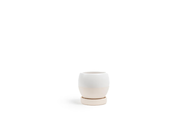 4.25" Bollé Pot with Water Saucer