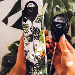 Black Plant Moisture Meter - Classy Casita