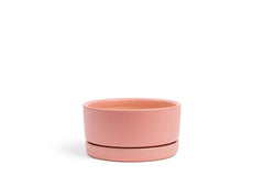 4.5" Low-Bowl with Water Saucer