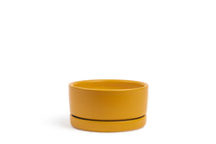 8.5" Low-Bowl with Water Saucer