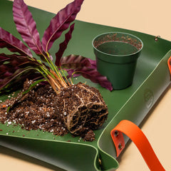 Reusable Potting Mat - We The Wild