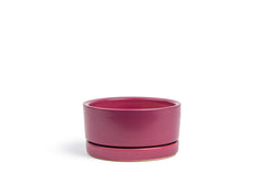 8.5" Low-Bowl with Water Saucer