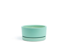 8.5" Low-Bowl with Water Saucer