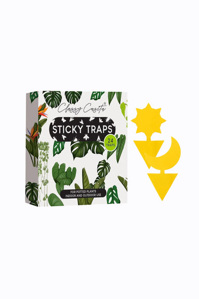 Sticky Traps (24 Ct) - Classy Casita